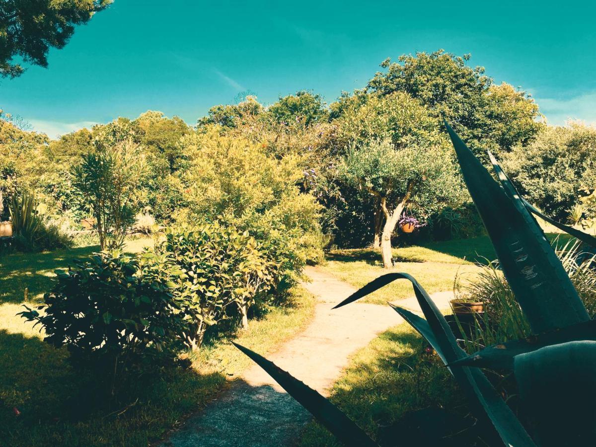 Quinta Das Almas São Roque do Pico Екстериор снимка