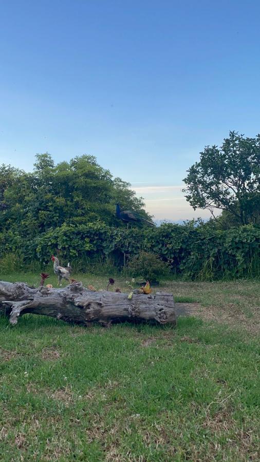 Quinta Das Almas São Roque do Pico Екстериор снимка