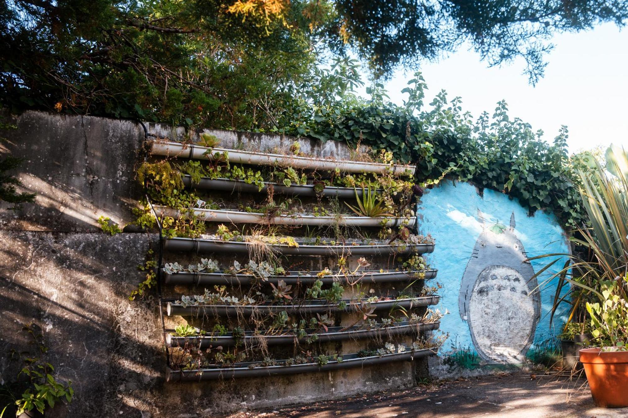 Quinta Das Almas São Roque do Pico Екстериор снимка